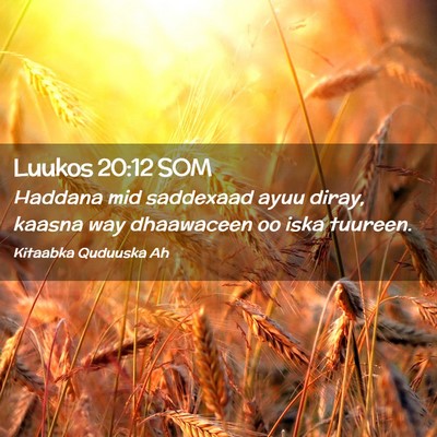 Picture 02 - Luukos 20:12 SOM - Haddana mid saddexaad ayuu diray, kaasna way - Bible Verse Picture