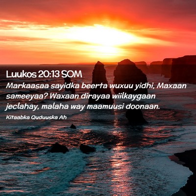 Picture 02 - Luukos 20:13 SOM - Markaasaa sayidka beerta wuxuu yidhi, Maxaan - Bible Verse Picture