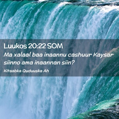 Picture 02 - Luukos 20:22 SOM - Ma xalaal baa inaannu cashuur Kaysar siinno ama - Bible Verse Picture