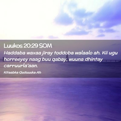 Picture 02 - Luukos 20:29 SOM - Haddaba waxaa jiray toddoba walaalo ah. Kii ugu - Bible Verse Picture