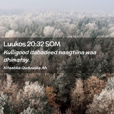 Picture 02 - Luukos 20:32 SOM - Kulligood dabadeed naagtiina waa - Bible Verse Picture