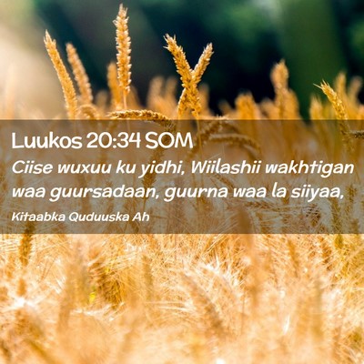 Picture 02 - Luukos 20:34 SOM - Ciise wuxuu ku yidhi, Wiilashii wakhtigan waa - Bible Verse Picture