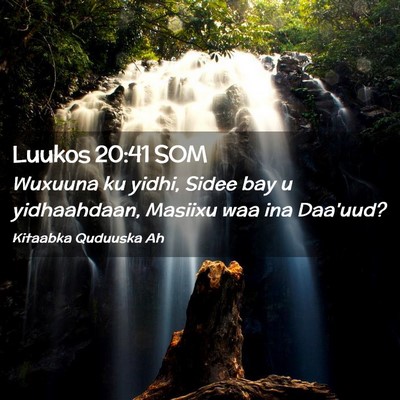 Picture 02 - Luukos 20:41 SOM - Wuxuuna ku yidhi, Sidee bay u yidhaahdaan, - Bible Verse Picture