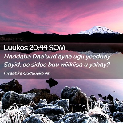 Picture 02 - Luukos 20:44 SOM - Haddaba Daa'uud ayaa ugu yeedhay Sayid, ee sidee - Bible Verse Picture