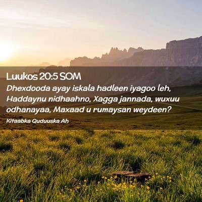 Picture 02 - Luukos 20:5 SOM - Dhexdooda ayay iskala hadleen iyagoo leh, - Bible Verse Picture