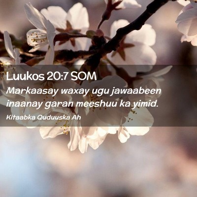 Picture 02 - Luukos 20:7 SOM - Markaasay waxay ugu jawaabeen inaanay garan - Bible Verse Picture