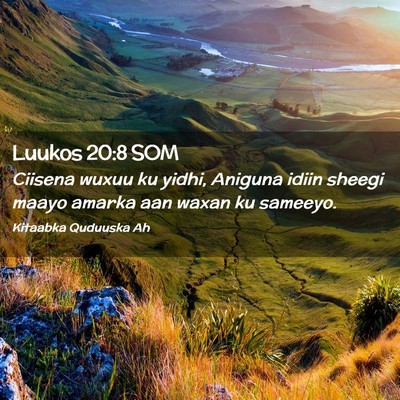 Picture 02 - Luukos 20:8 SOM - Ciisena wuxuu ku yidhi, Aniguna idiin sheegi - Bible Verse Picture