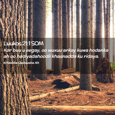 Picture 02 - Luukos 21:1 SOM - Kor buu u eegay, oo wuxuu arkay kuwa hodanka ah - Bible Verse Picture