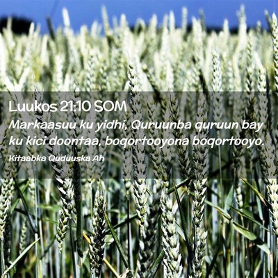 Picture 02 - Luukos 21:10 SOM - Markaasuu ku yidhi, Quruunba quruun bay ku kici - Bible Verse Picture
