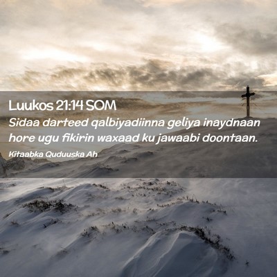 Picture 02 - Luukos 21:14 SOM - Sidaa darteed qalbiyadiinna geliya inaydnaan hore - Bible Verse Picture