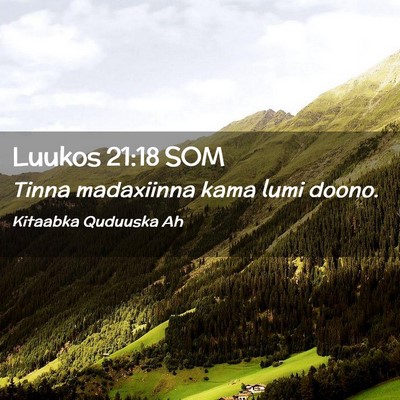 Picture 02 - Luukos 21:18 SOM - Tinna madaxiinna kama lumi - Bible Verse Picture