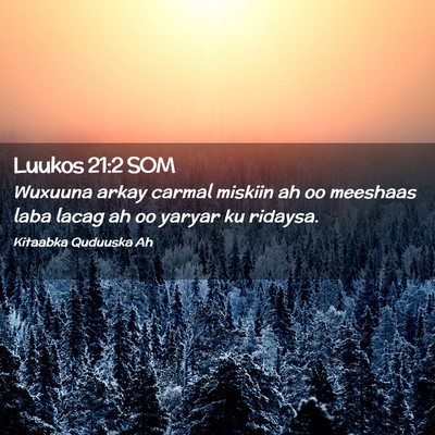 Picture 02 - Luukos 21:2 SOM - Wuxuuna arkay carmal miskiin ah oo meeshaas laba - Bible Verse Picture