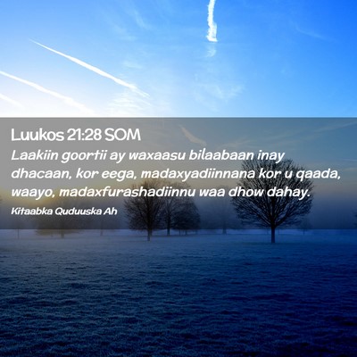 Picture 02 - Luukos 21:28 SOM - Laakiin goortii ay waxaasu bilaabaan inay - Bible Verse Picture
