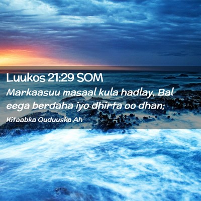 Picture 02 - Luukos 21:29 SOM - Markaasuu masaal kula hadlay, Bal eega berdaha - Bible Verse Picture