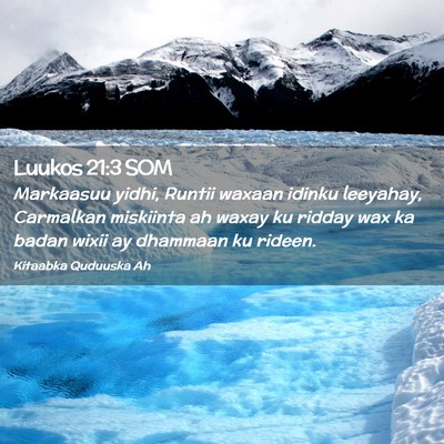 Picture 02 - Luukos 21:3 SOM - Markaasuu yidhi, Runtii waxaan idinku leeyahay, - Bible Verse Picture