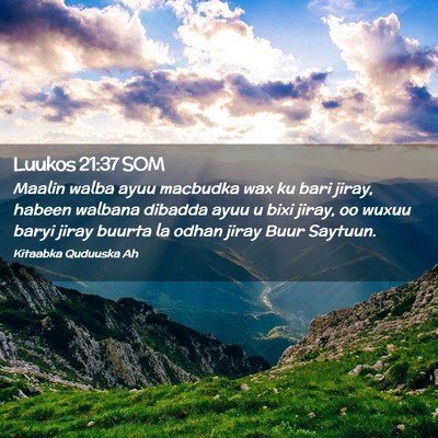 Picture 02 - Luukos 21:37 SOM - Maalin walba ayuu macbudka wax ku bari jiray, - Bible Verse Picture