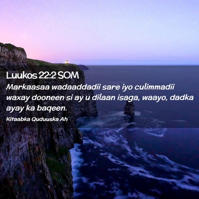 Picture 02 - Luukos 22:2 SOM - Markaasaa wadaaddadii sare iyo culimmadii waxay - Bible Verse Picture