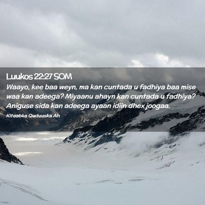 Picture 02 - Luukos 22:27 SOM - Waayo, kee baa weyn, ma kan cuntada u fadhiya baa - Bible Verse Picture