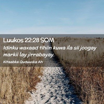 Picture 02 - Luukos 22:28 SOM - Idinku waxaad tihiin kuwa ila sii joogay markii - Bible Verse Picture
