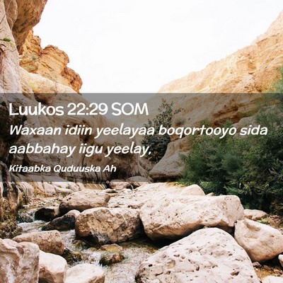 Picture 02 - Luukos 22:29 SOM - Waxaan idiin yeelayaa boqortooyo sida aabbahay - Bible Verse Picture