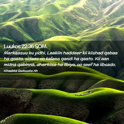 Picture 02 - Luukos 22:36 SOM - Markaasuu ku yidhi, Laakiin haddeer kii kiishad - Bible Verse Picture