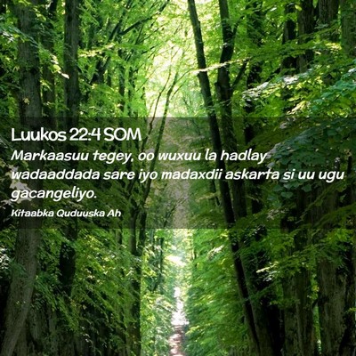 Picture 02 - Luukos 22:4 SOM - Markaasuu tegey, oo wuxuu la hadlay wadaaddada - Bible Verse Picture