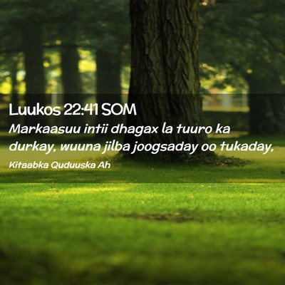 Picture 02 - Luukos 22:41 SOM - Markaasuu intii dhagax la tuuro ka durkay, wuuna - Bible Verse Picture