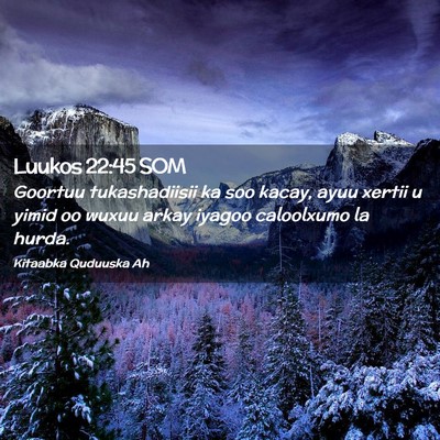 Picture 02 - Luukos 22:45 SOM - Goortuu tukashadiisii ka soo kacay, ayuu xertii u - Bible Verse Picture
