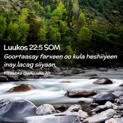 Picture 02 - Luukos 22:5 SOM - Goortaasay farxeen oo kula heshiiyeen inay lacag - Bible Verse Picture