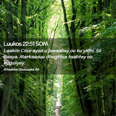 Picture 02 - Luukos 22:51 SOM - Laakiin Ciise ayaa u jawaabay oo ku yidhi, Sii - Bible Verse Picture