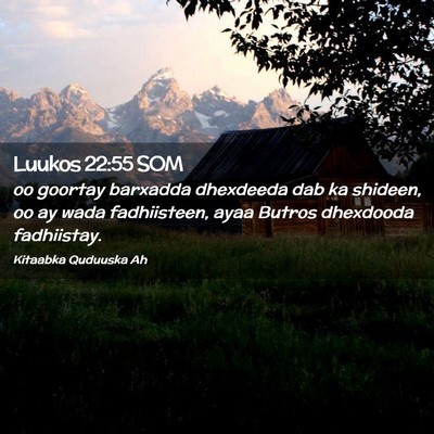 Picture 02 - Luukos 22:55 SOM - oo goortay barxadda dhexdeeda dab ka shideen, oo - Bible Verse Picture