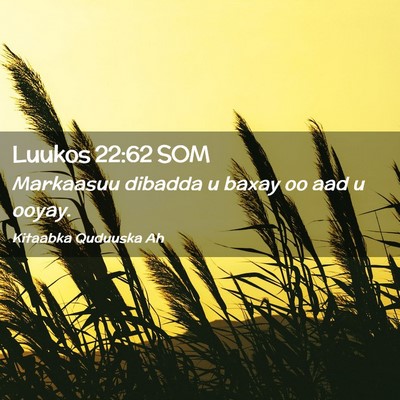Picture 02 - Luukos 22:62 SOM - Markaasuu dibadda u baxay oo aad u - Bible Verse Picture