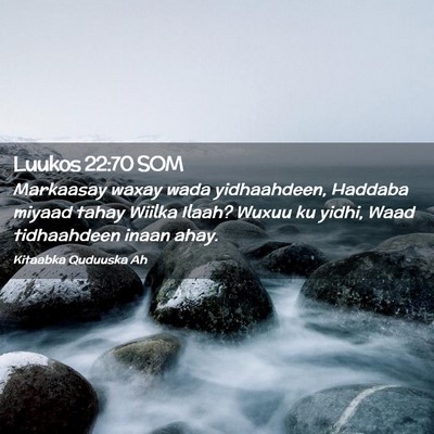 Picture 02 - Luukos 22:70 SOM - Markaasay waxay wada yidhaahdeen, Haddaba miyaad - Bible Verse Picture