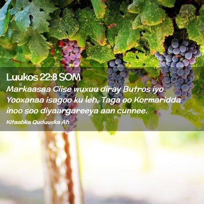 Picture 02 - Luukos 22:8 SOM - Markaasaa Ciise wuxuu diray Butros iyo Yooxanaa - Bible Verse Picture