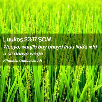 Picture 02 - Luukos 23:17 SOM - Waayo, waajib bay ahayd inuu iidda mid u sii - Bible Verse Picture