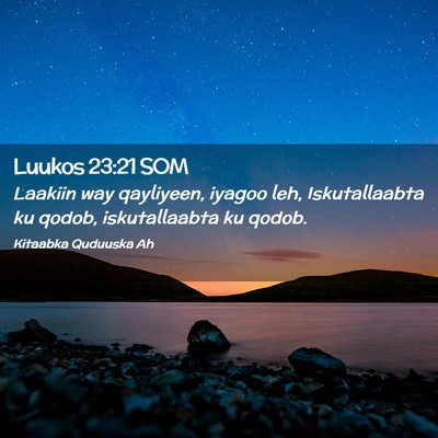 Picture 02 - Luukos 23:21 SOM - Laakiin way qayliyeen, iyagoo leh, Iskutallaabta - Bible Verse Picture