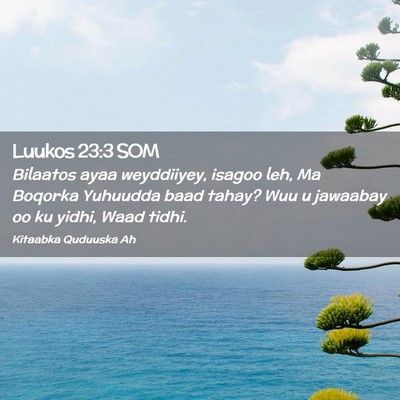 Picture 02 - Luukos 23:3 SOM - Bilaatos ayaa weyddiiyey, isagoo leh, Ma Boqorka - Bible Verse Picture