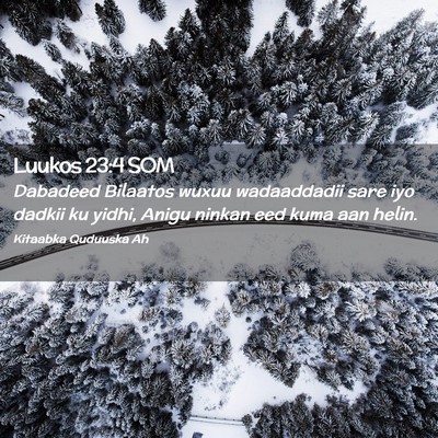 Picture 02 - Luukos 23:4 SOM - Dabadeed Bilaatos wuxuu wadaaddadii sare iyo - Bible Verse Picture