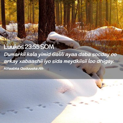 Picture 02 - Luukos 23:55 SOM - Dumarkii kala yimid Galili ayaa daba socday oo - Bible Verse Picture
