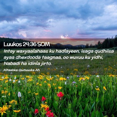 Picture 02 - Luukos 24:36 SOM - Intay waxyaalahaas ku hadlayeen, isaga qudhiisa - Bible Verse Picture