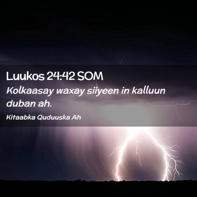 Picture 02 - Luukos 24:42 SOM - Kolkaasay waxay siiyeen in kalluun duban - Bible Verse Picture