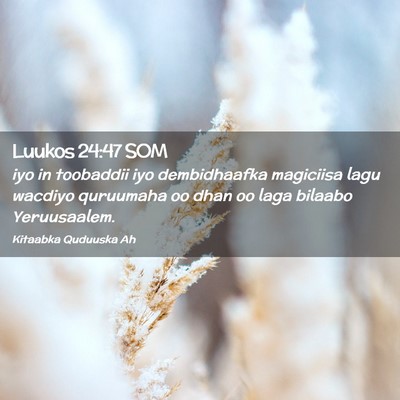 Picture 02 - Luukos 24:47 SOM - iyo in toobaddii iyo dembidhaafka magiciisa lagu - Bible Verse Picture