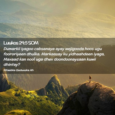 Picture 02 - Luukos 24:5 SOM - Dumarkii iyagoo cabsanaya ayay wejigooda hoos ugu - Bible Verse Picture