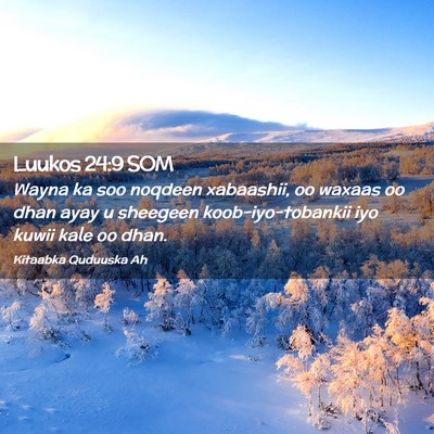 Picture 02 - Luukos 24:9 SOM - Wayna ka soo noqdeen xabaashii, oo waxaas oo dhan - Bible Verse Picture