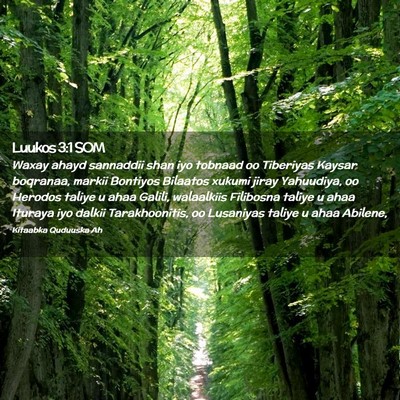 Picture 02 - Luukos 3:1 SOM - Waxay ahayd sannaddii shan iyo tobnaad oo - Bible Verse Picture