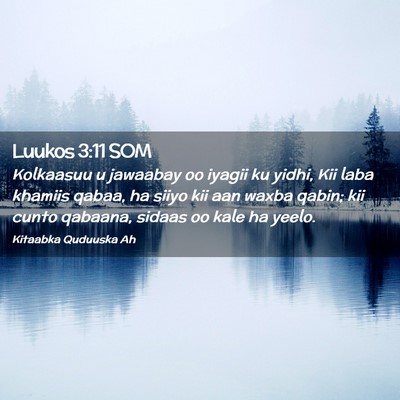 Picture 02 - Luukos 3:11 SOM - Kolkaasuu u jawaabay oo iyagii ku yidhi, Kii laba - Bible Verse Picture
