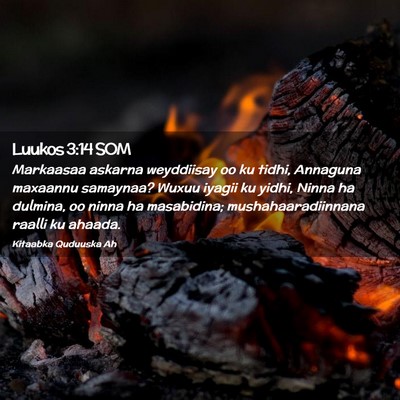 Picture 02 - Luukos 3:14 SOM - Markaasaa askarna weyddiisay oo ku tidhi, - Bible Verse Picture