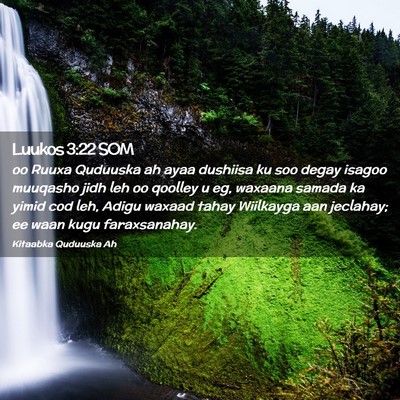 Picture 02 - Luukos 3:22 SOM - oo Ruuxa Quduuska ah ayaa dushiisa ku soo degay - Bible Verse Picture