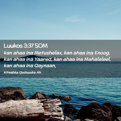 Picture 02 - Luukos 3:37 SOM - kan ahaa ina Metushelax, kan ahaa ina Enoog, kan - Bible Verse Picture