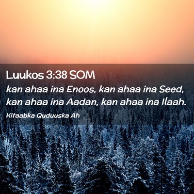 Picture 02 - Luukos 3:38 SOM - kan ahaa ina Enoos, kan ahaa ina Seed, kan ahaa - Bible Verse Picture